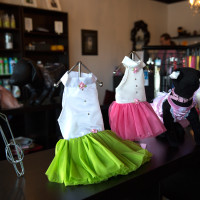 The Spa Pet Spa Decorative petwear